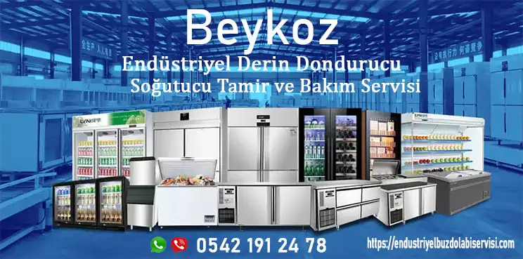Beykoz endüstriyel derin dondurucu servisi