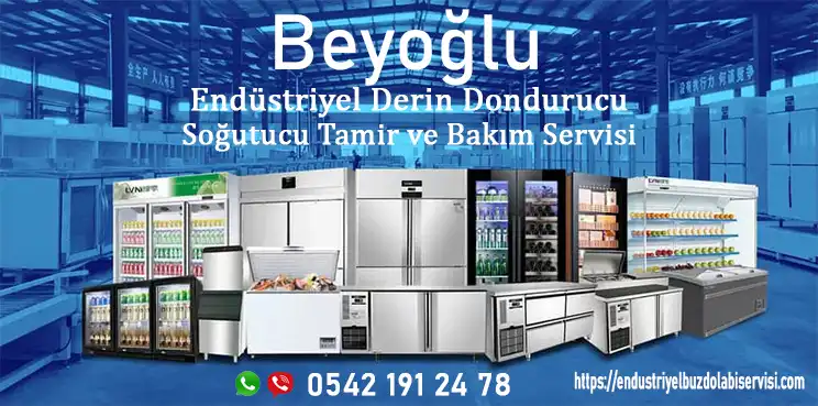 Beyoğlu endüstriyel dikey buzdolabı servisi