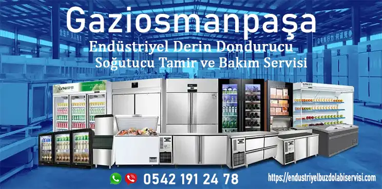 Gaziosmanpaşa endüstriyel derin dondurucu servisi
