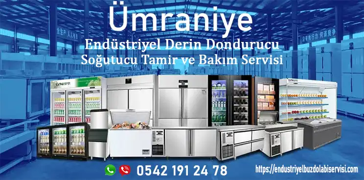 Ümraniye endüstriyel dikey buzdolabı servisi