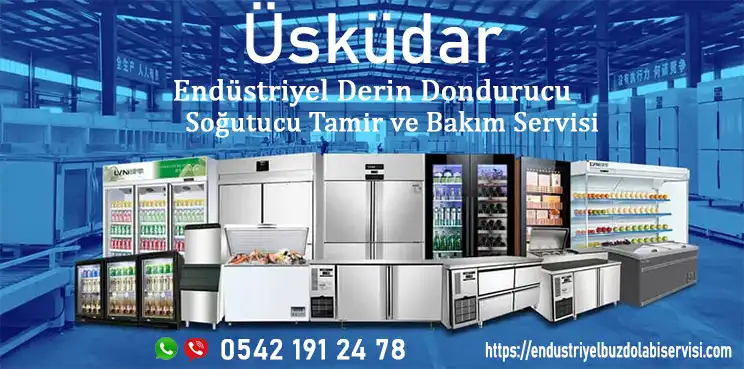 Üsküdar endüstriyel derin dondurucu servisi