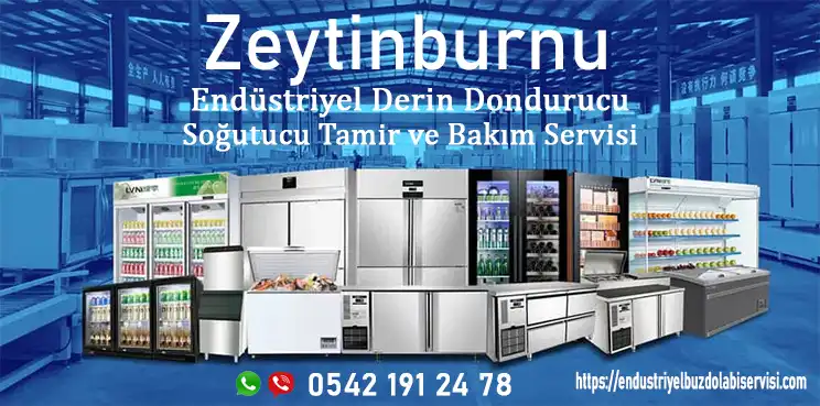 Zeytinburnu endüstriyel dikey buzdolabı servisi